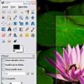 GIMP 266