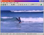 IrfanView 425